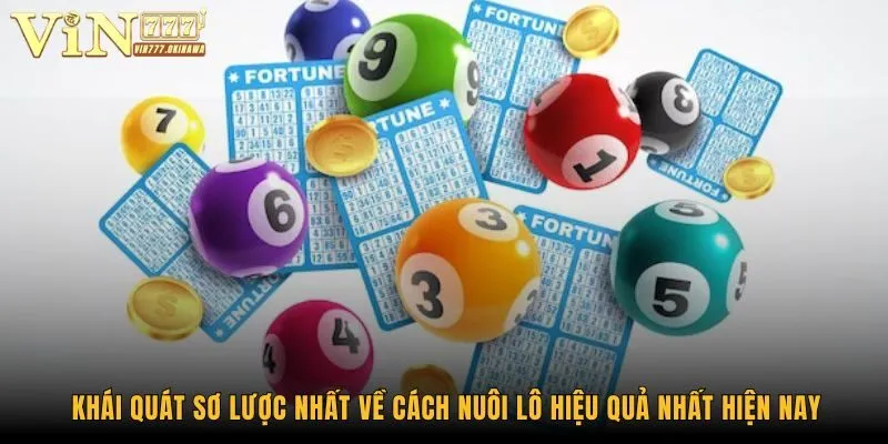 Cách Nuôi Lô Hiệu Quả Từ A Đến Z Dành Cho Hội Viên Vin777 1 Khái quát sơ lược nhất về cách nuôi lô hiệu quả nhất hiện nay