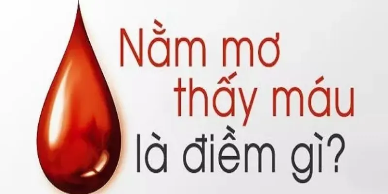 Mơ Thấy Máu Đánh Con Gì - Áp Dụng Đúng Cách Dễ Đổi Đời 1 Mơ thấy máu đánh con gì dễ trúng trong lô đề